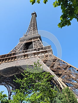 Magnificence of the Eiffel Tower