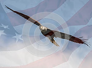 Magnificent bald eagle in flight superimposed on an American flag.