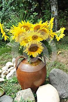 Magnificent bouquet of vivid sunflowers in antique clay pot outdoors near a rock on green grass. Clay flowerpot with sunflowers