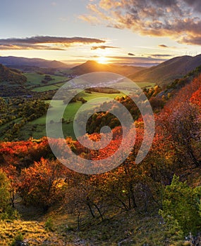 Magnificent colorful Fall day in park, many trees on the orange hills