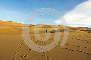 Magnificent colors of Great Sand Dunes National Park and Preserve, San Luis Valley, Colorado, United States