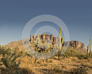 Magnificent desert scenery in Arizona
