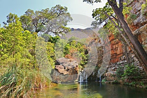 Magnificent freshwater pond in the forest of Blyde River Canyon