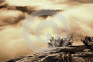 Magnificent hilly landscape in gentle pink pink sunrise. Beautiful valley of rocky mountains park. Hills in fresh humidity.