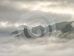 Magnificent hilly landscape in gentle pink sunrise. Misty valley