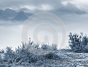 Magnificent hilly landscape in gentle pink sunrise. Misty valley