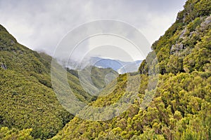 The magnificent inland of the island of Madeira, hiking, Laurisilva Nationalpark