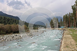 The magnificent Lidder river flowing through the valley in Pahalgam, surrounded by paddy fields