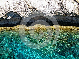 Magnificent look of botton sea in Cyprus