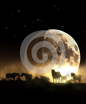 Herd of horses under the Big Moon. photo