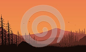 Magnificent mountain panorama with pine trees at dusk from the edge of town. Vector illustration