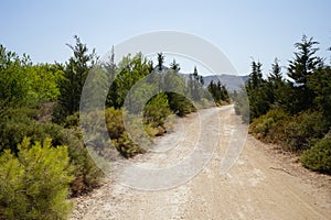 Magnificent mountainous landscape with unique vegetation at Kolymbia Flag Hill, Kolympia 851 02, Greece