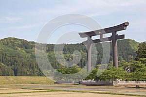 Magnificent Otorii gate of Torii Shrine near the tree-covered hills captured in Tanabe, Japan photo