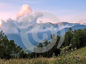 Magnificent panorama over the ridges and Tech Valley from the Tower of Mir, Prats-de-Mollo, Pyrenees-Orientales, France