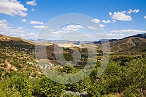 Magnificent panorama of surrounding olive groves