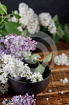 Magnificent purple and snow-white lilac flowers with two black ceramic cups nearby. Still life on a wooden background.