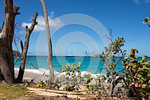 Mundos el mas grande buque sobre el ancla en caribe 