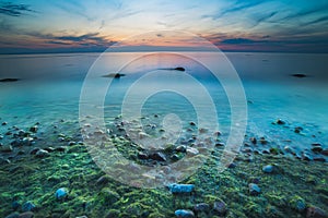 Magnificent seascape at sunset with stones covered seaweeds