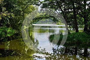 A magnificent small lake surrounded by trees. A picturesque lake in the forest. Peace and tranquillity.