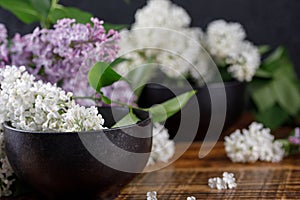 Magnificent snow-white and purple flowers of lilac that lie in exquisite cups. Still-life on a wooden background.