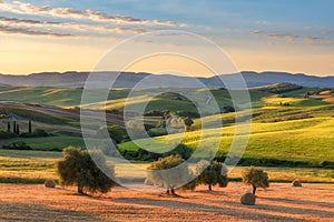 Magnificent spring landscape at sunrise.Beautiful view of typical tuscan farm house