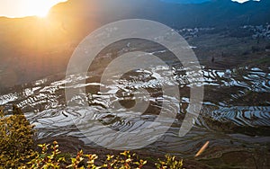 The magnificent sunrise landscape of Yuanyang terraced fields