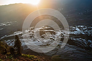 The magnificent sunrise landscape of Yuanyang terraced fields