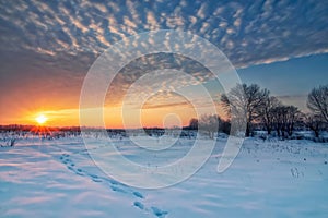 Magnificent sunset over snow covered field with winding footprints straight ahead to the sun