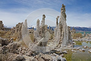 Magnificent tufa towers in California are illuminated by the warm winter sun.