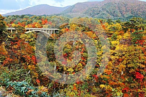 Magnificent view of a highway bridge spanning across Naruko Gorge with colorful autumn foliage on vertical rocky cliffs in