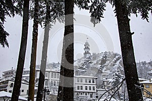 A magnificent view of the houses taken through the trees. It is also eye-catching with its reflection of the winter