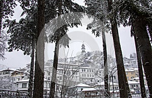 A magnificent view of the houses taken through the trees. It is also eye-catching with its reflection of the winter