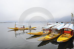 A magnificent view of Kashmir near the lake at Srinagar