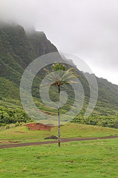 A magnificent view of Kualoa Ranch