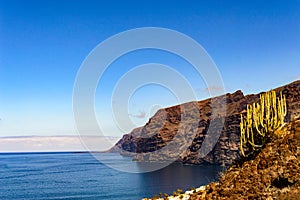 Magnificent Views of the Cliff of the Giants with a Cactus in the Composition from the Achipenque Viewpoint. April 13, 2019.