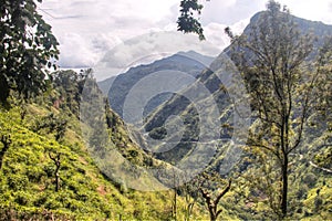 View over the mountains in Ella, Sri Lanka