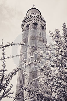 Magnificent Yivli Fluted Minaret of the Mosquee of Antalya