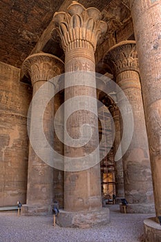 Magnificient tall columns in Khnum temple,Egypt photo
