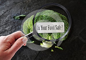 Magnified food safety