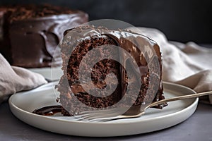 Magnified image of a chocolate sponge cake slice presented on a clean white dish