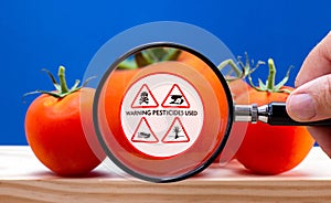 Magnified label on tomato, warning of environmental damage caused by pesticide and herbicide