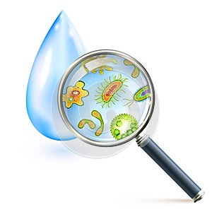 Magnifier bacteria and virus cells