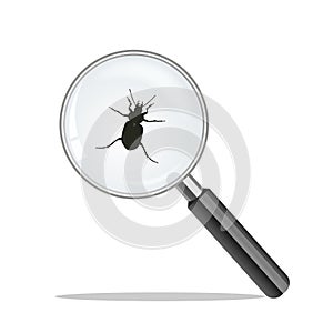 Magnify glass and bug. Virus concept