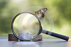 Magnifying glass focus on a row of coins and butterfly