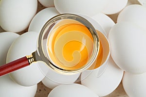 Magnifying glass focusing on chicken egg, closeup. Food control