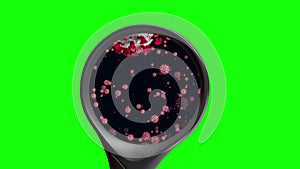 Magnifying glass focusing on virus cell streaming animation green screen