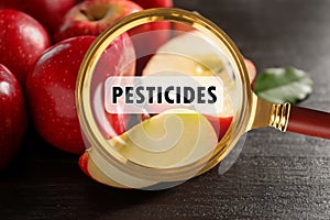 Magnifying glass with inscription Pesticides and apples. Food poisoning