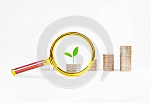 Magnifying glass with Money growing plant step with deposit coin on isolate white background