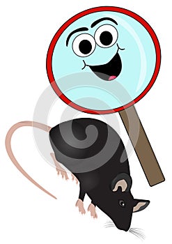 Magnifying glass and rat on a white background