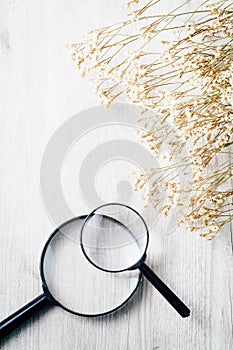 Magnifying glass, Search and discover symbol